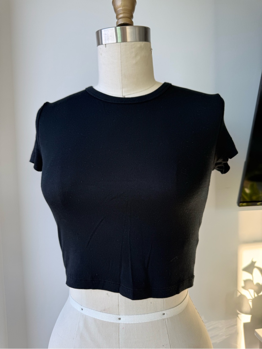 Aritzia Sunday Best Ribbed Cropped Tee